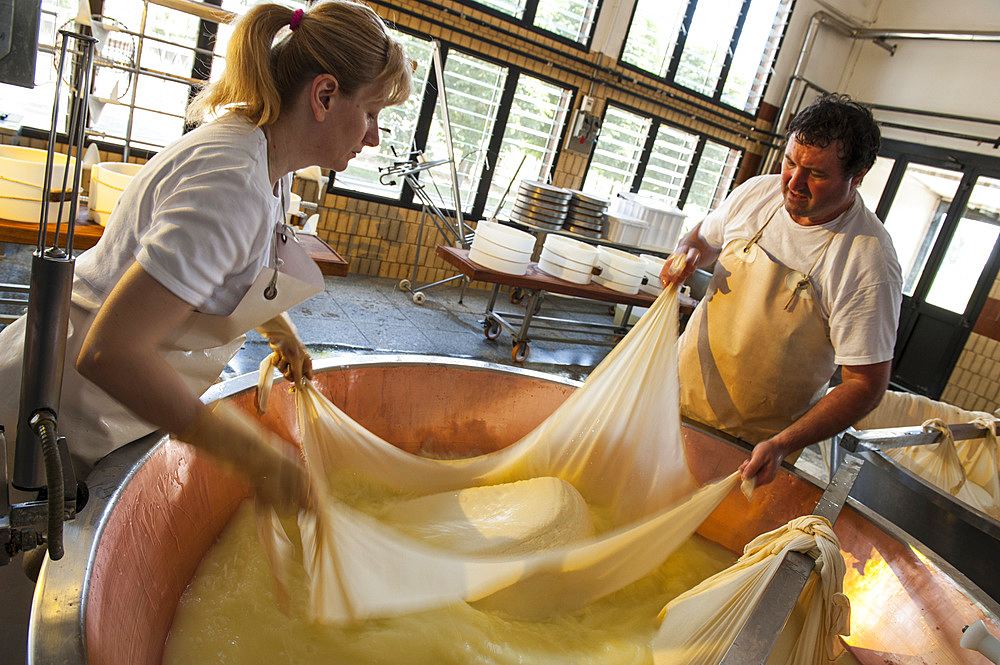 Production of Parmigiano Reggiano cheese at the Hombre dairy, Modena, Emilia Romagna, Europe, Italy