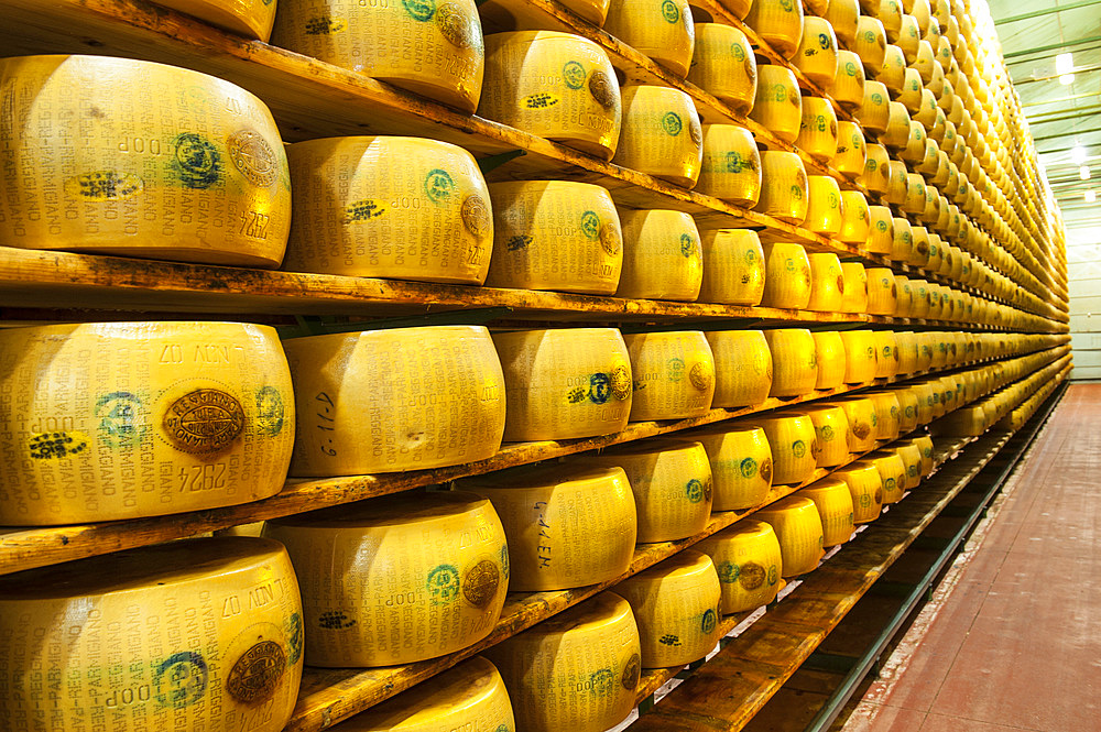 Production of Parmigiano Reggiano cheese at the Hombre dairy, Modena, Emilia Romagna, Europe, Italy