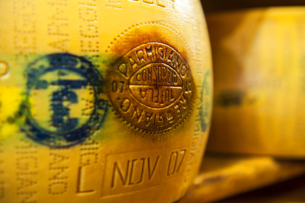 Production of Parmigiano Reggiano cheese at the Hombre dairy, Modena, Emilia Romagna, Europe, Italy