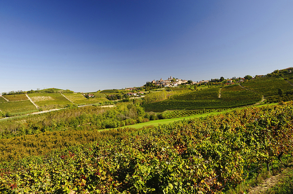 La Morra, around the town a beautiful but man-made land characterized by vineyards, is the Langa, Cuneo, Piedmont, Italy, Europe, UNESCO, World Heritage Site