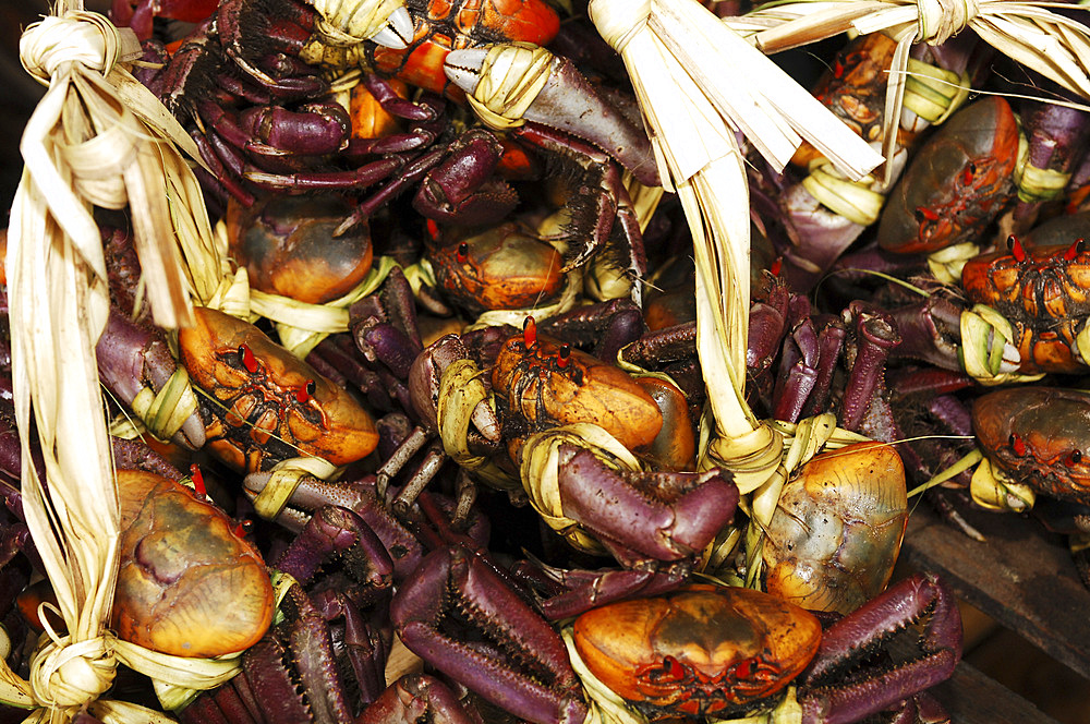 Seller of Pacific Ocean crabs at the Zacatecoluca market. El Salvador, Central America.