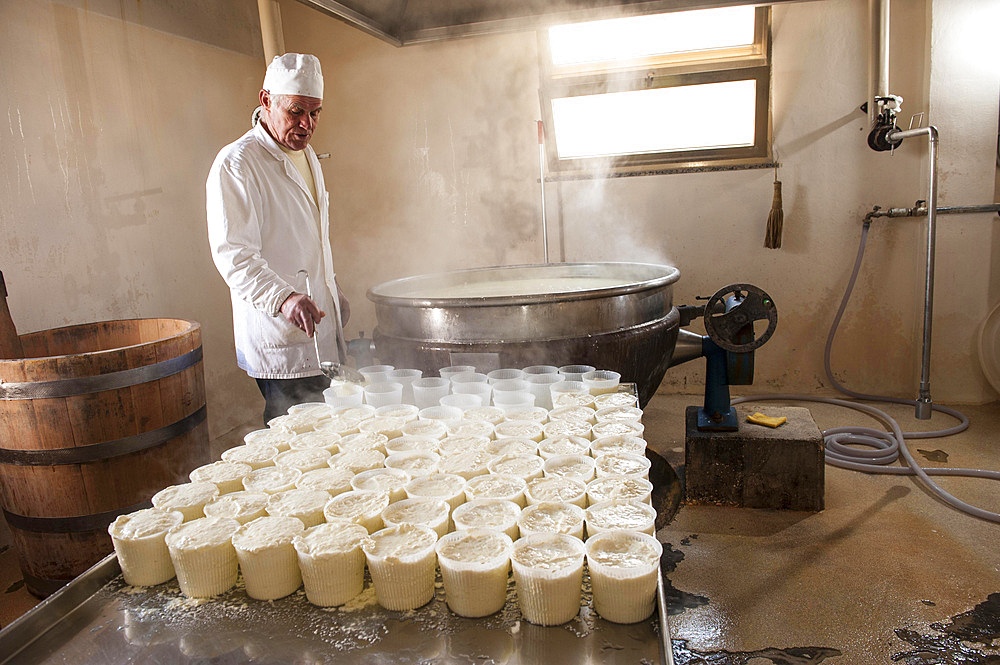 Making Ricotta cheese with milk from Modica cows at the Floridia dairy. Ispica, Ragusa, Sicily, Italy, Europe.