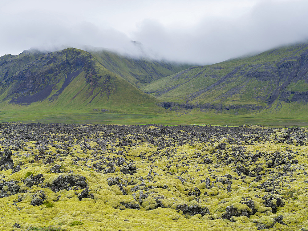 Lavaflow covered with moss. Landscape on peninsuala Snaefellsnes in western Iceland. Europe, Northern Europe, Iceland