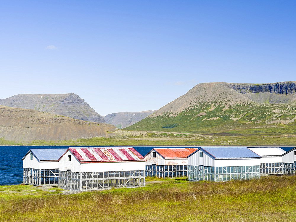 Typical huts for drying fish at the shore of fjord Dyrafjoerdur. The remote Westfjords (Vestfirdir) in north west Iceland. Europe, Scandinavia, Iceland