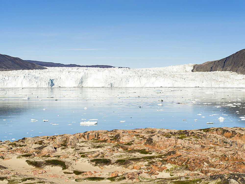 Eqip Glacier (Eqip Sermia or Eqi Glacier) in Greenland. Polar Regions, Denmark, August