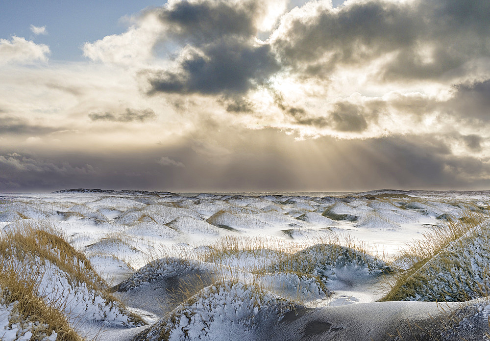 Coastal landscape with dunes at iconic Stokksnes during winter and stormy conditions. europe, northern europe, iceland, february