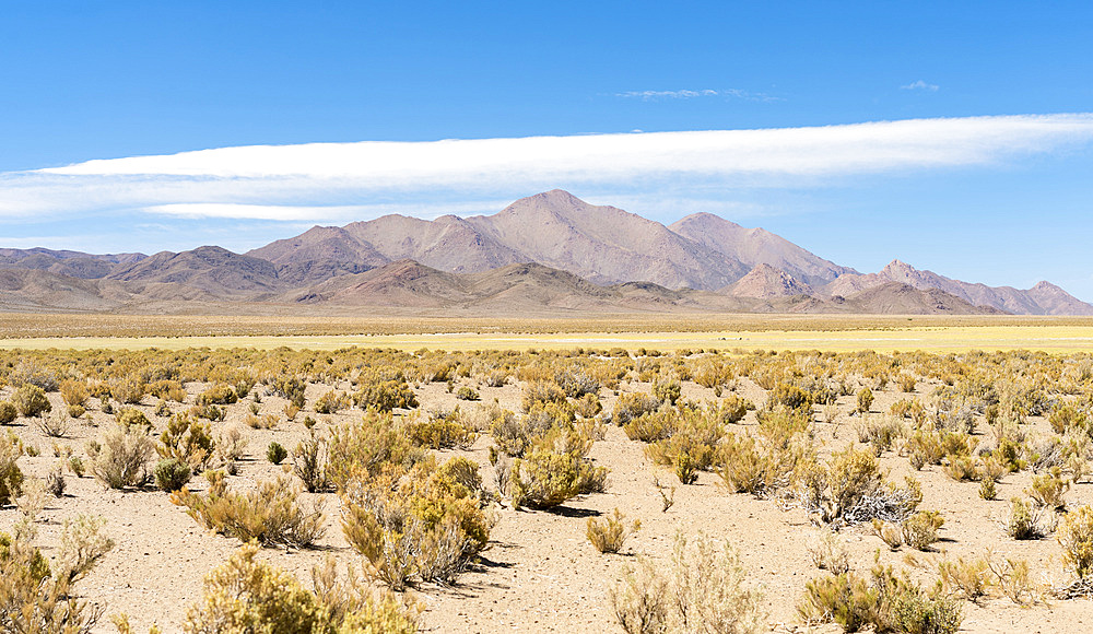 Landscape near the salt flats Salinas Grandes in the Altiplano. South America, Argentina