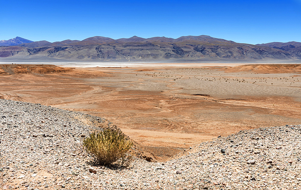 The salt flats Salar de Pocitos in the Argentinian Altiplano. South America, Argentina