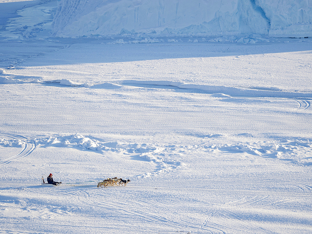 Dog sled in a fan hitch on the sea ice of the Melville Bay near Kullorsuaq in North Greenland. North America, danish teritorry