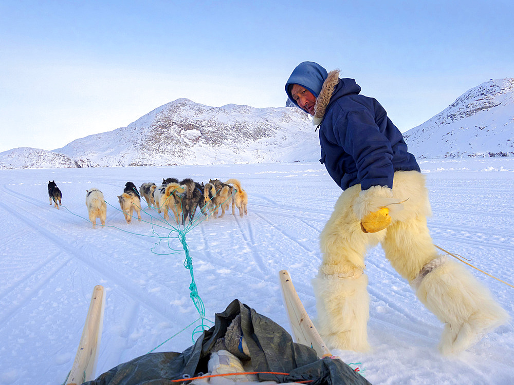 Jumping on the sledge. Inuit hunter wearing traditional trousers and boots made from polar bear fur on the sea ice of the Melville Bay near Kullorsuaq in North Greenland. North America, danish teritorry