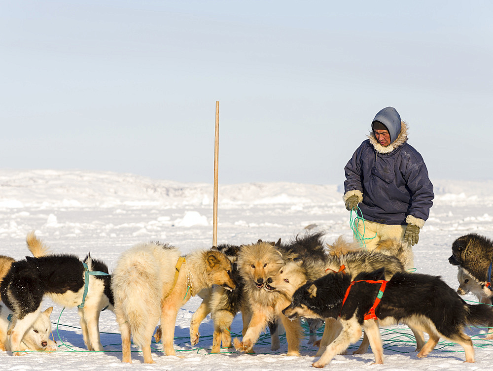 Inuit hunter wearing traditional trousers and boots made from polar bear fur on the sea ice of the Melville Bay near Kullorsuaq in North Greenland. North America, danish teritorry