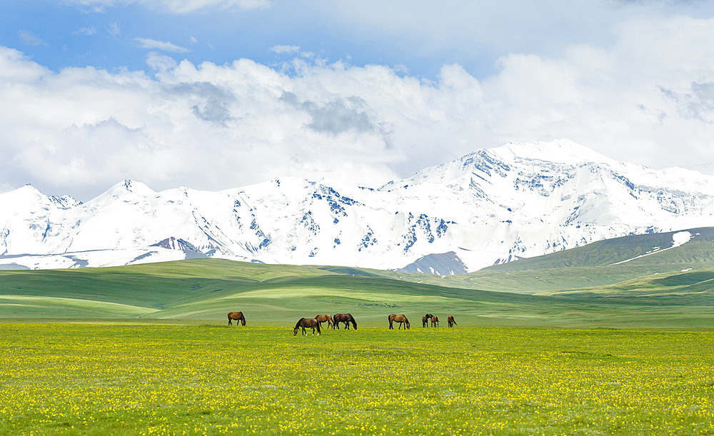 The Alaj valley with the Transalai mountains in the background. The Pamir Mountains, Asia, Central Asia, Kyrgyzstan