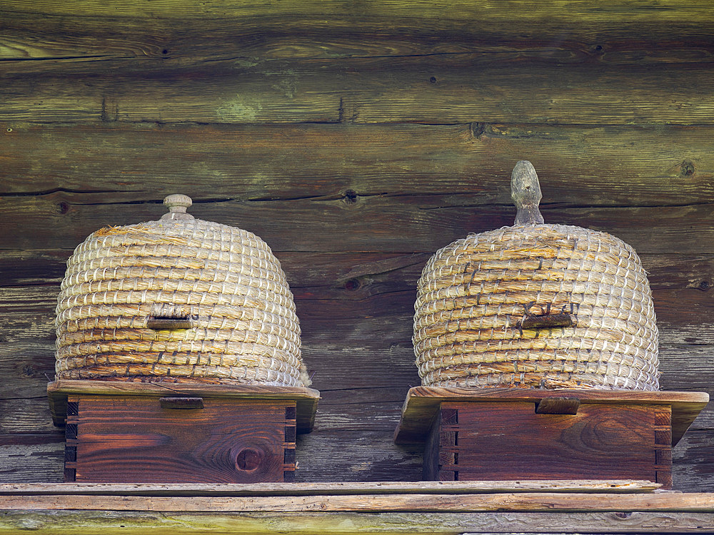 Traditional beehive. Open Air Museum Finsterau, Bavarian Forest, Germany, Europe