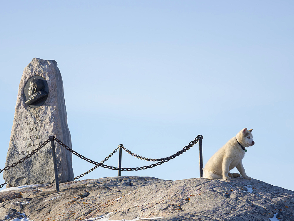 Sled dogs in town. Winter in Ilulissat on the shore of Disko Bay. America, North America, Greenland, Denmark