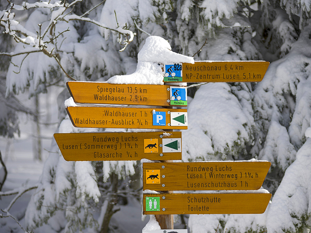 Signpost for hikers. Winter at Mount Lusen in National Park Bavarian Forest (Bayerischer Wald), Europe, Central Europe, Germany, Bavaria