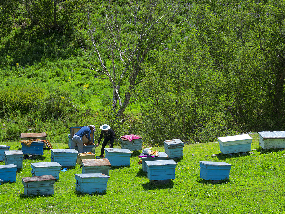 Beekeepers near the mountain road from Jalal-Abad (Dzhalal-Abad, Djalal-Abat, Jalalabat) to mountain pass Urum Basch Ashuusu in the Tien Shan mountains or heavenly mountains in Kirghizia. Asia, central Asia, Kyrgyzstan