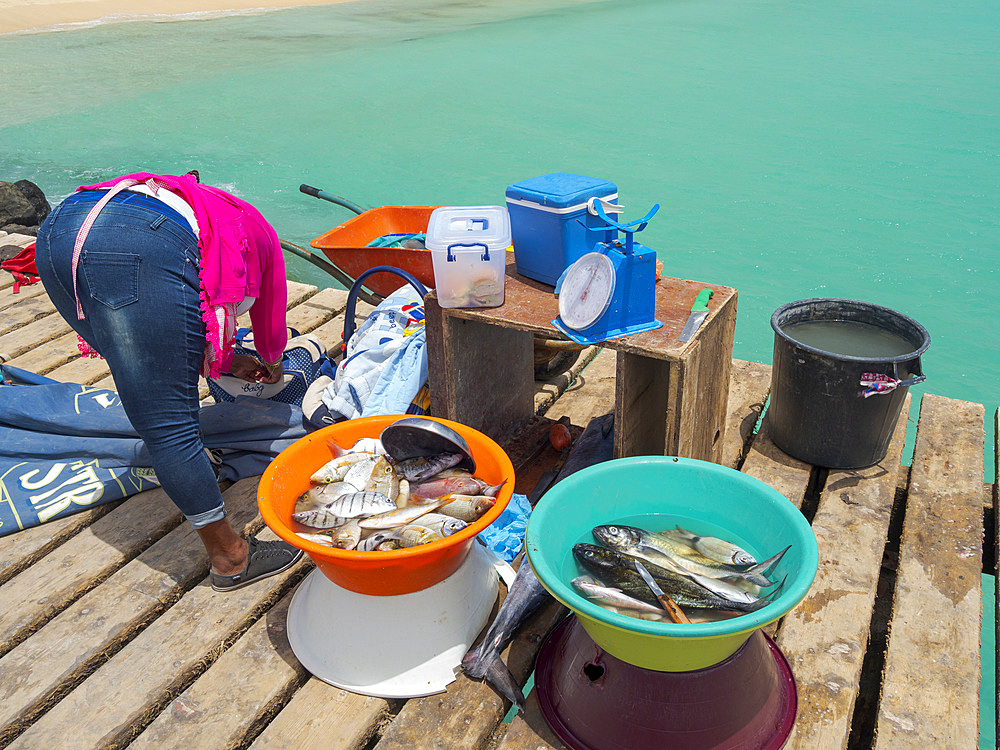 Fishmongers, the jetty at the beach Praia de Santa Maria. The island Sal, Cape Verde, an archipelago in the equatorial atlantic in Africa.