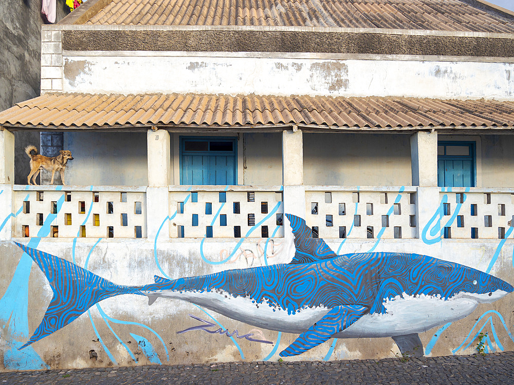 Shark, mural on old house. Town Ponta do Sol, Island Santo Antao, Cape Verde in the equatorial atlantic. April