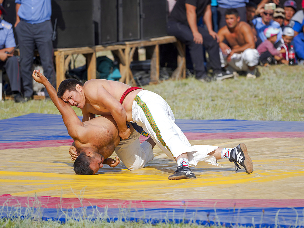 Kuresh, traditional Kyrgyz wrestling. Folk and Sport festival on the Suusamyr plain commemorating Mr Koshomkul, a sportsman and folk hero of the last century. Asia, central Asia, Kyrgyzstan