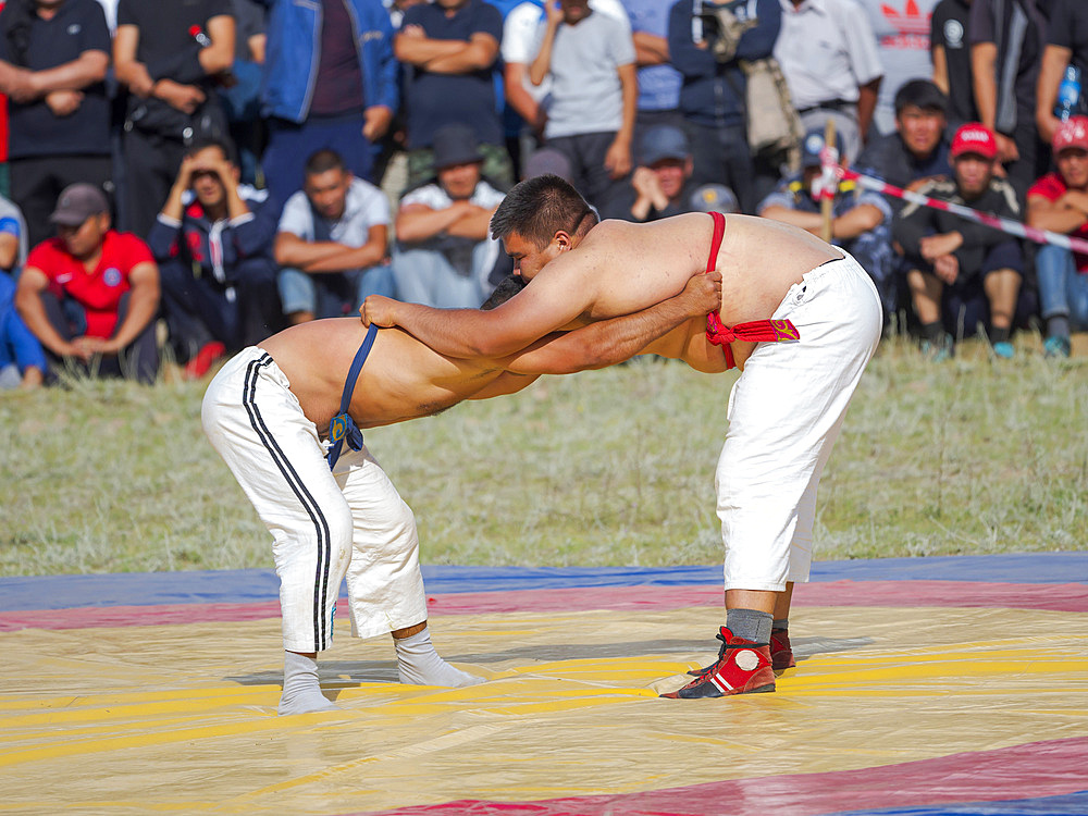 Kuresh, traditional Kyrgyz wrestling. Folk and Sport festival on the Suusamyr plain commemorating Mr Koshomkul, a sportsman and folk hero of the last century. Asia, central Asia, Kyrgyzstan