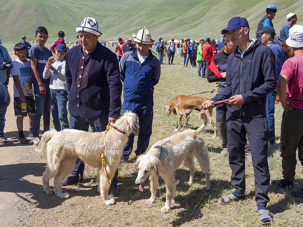 Breeders of kyrgysz hunting dog, Taigan, during a competition. Folk and Sport festival on the Suusamyr plain commemorating Mr Koshomkul, a sportsman and folk hero of the last century. Asia, central asia, Kyrgyzstan