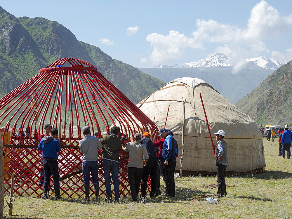 Setting up a traditional Yurt. Folk and Sport festival on the Suusamyr plain commemorating Mr Koshomkul, a sportsman and folk hero of the last century. Asia, central asia, Kyrgyzstan