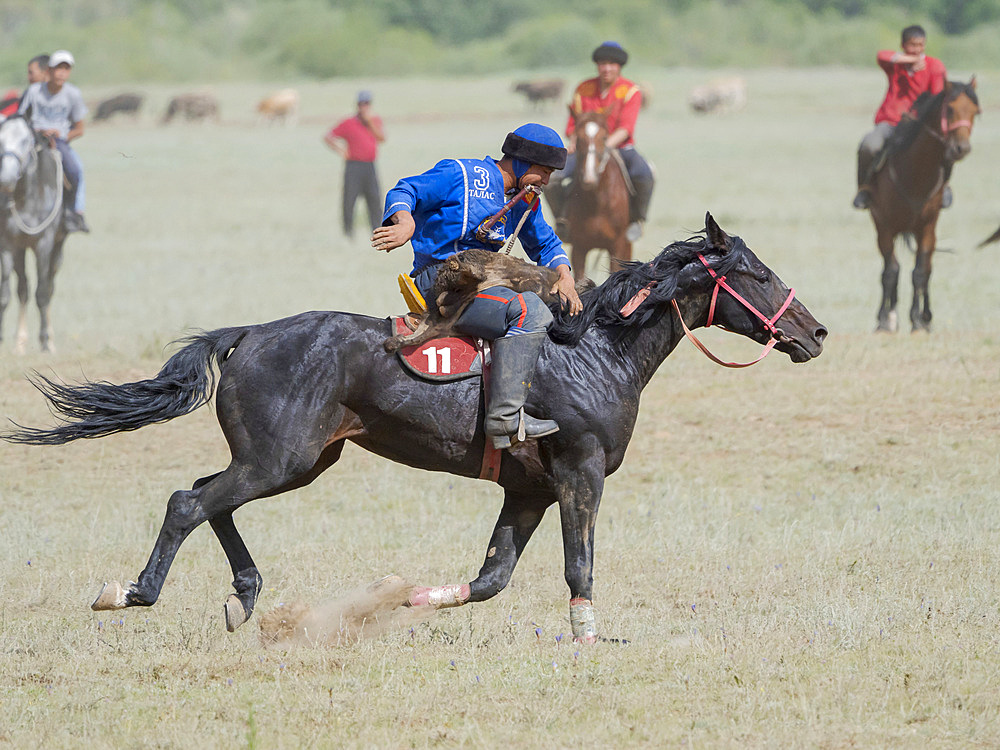 Kok Boru (Buzkashi), traditional equestrian team sport. Festival on the Suusamyr plain commemorating Mr Koshkomul, a sportsman and folk hero of the last century. Kok Boru is listed as UNESCO Intangible Cultural Heritage Asia, central asia, Kyrgyzstan