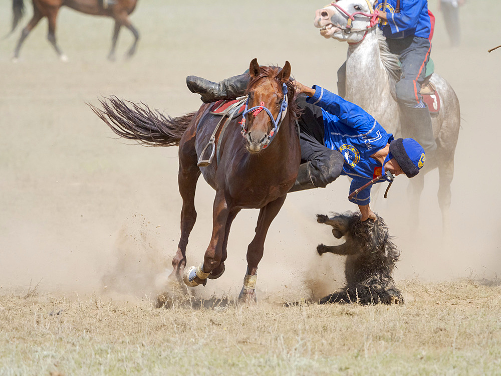 Kok Boru (Buzkashi), traditional equestrian team sport. Festival on the Suusamyr plain commemorating Mr Koshkomul, a sportsman and folk hero of the last century. Kok Boru is listed as UNESCO Intangible Cultural Heritage Asia, central asia, Kyrgyzstan