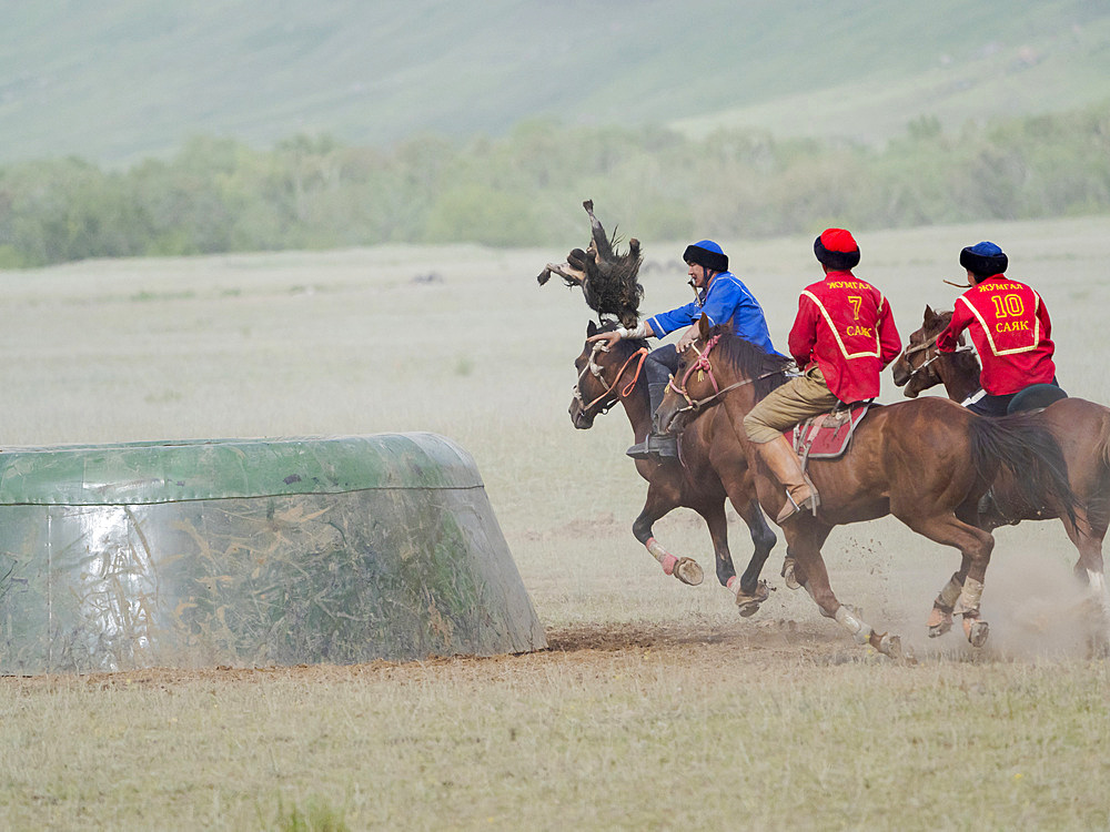 The goat is thrown into tai kazan (goal). Kok Boru (Buzkashi), traditional equestrian team sport. Festival on the Suusamyr plain commemorating Mr Koshkomul, a sportsman and folk hero of the last century. Kok Boru is listed as UNESCO Intangible Cultural Heritage Asia, central asia, Kyrgyzstan