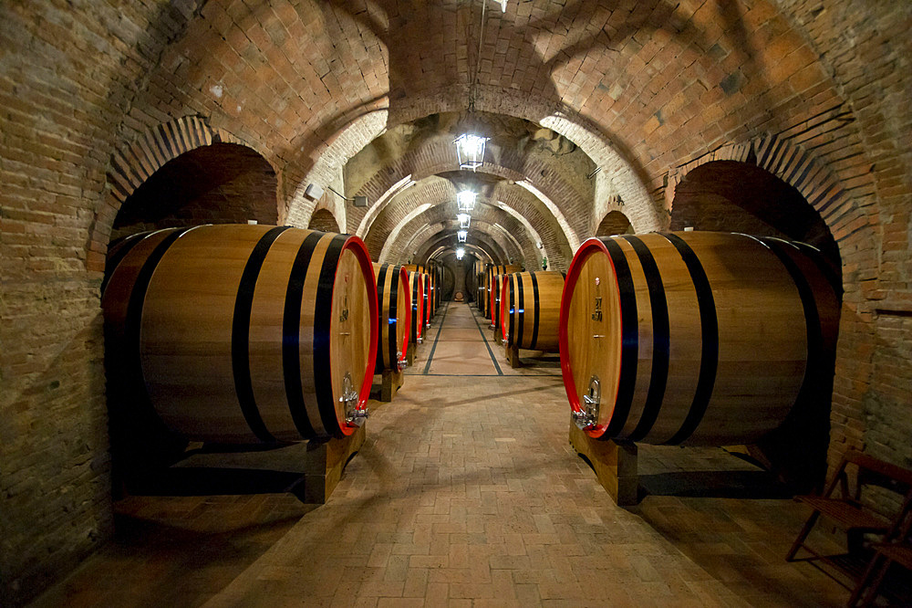 Cantina Vinicola la Talosa winery , Vino nobile di Montepulciano winemakers, Montepulciano, Tuscany, Italy, Europe