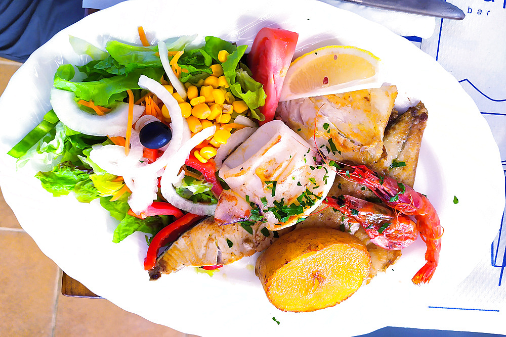 Roasted fish, shrimp and mixed vegetable salad