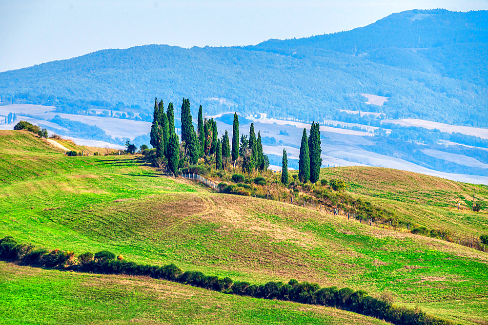 Countryside near San Quirico d'Orcia, UNESCO World Heritage Site, Val díOrcia, Tuscany, Italy, Europe