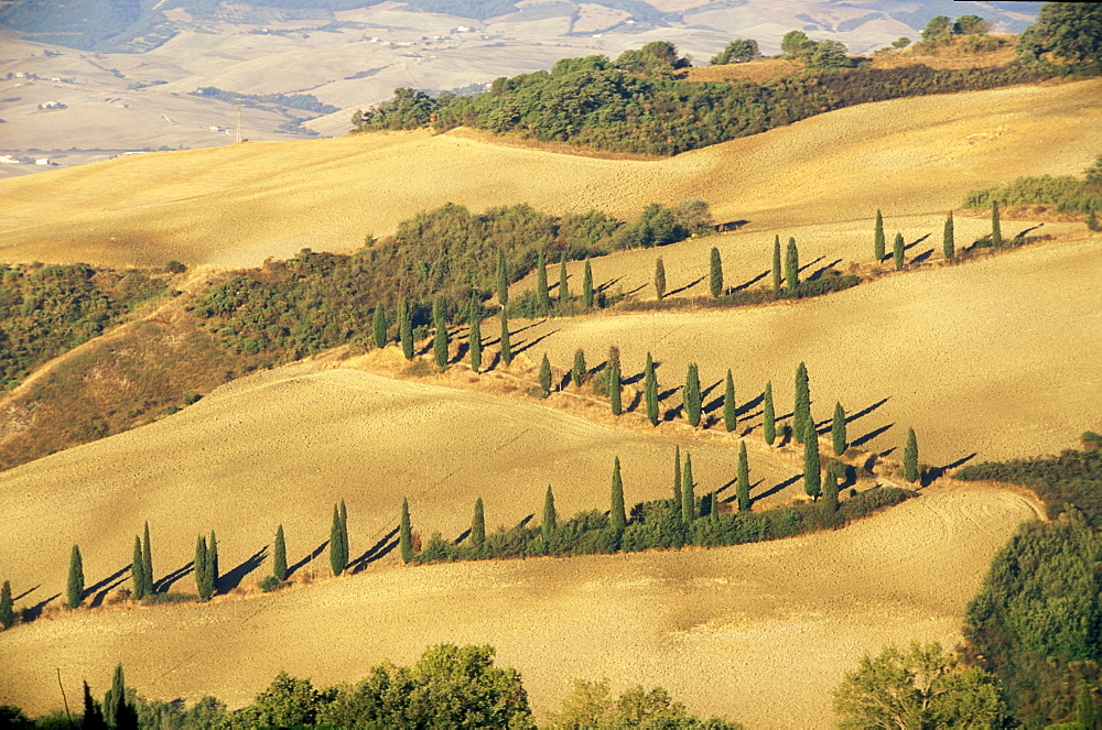 Landscape, Montichiello, Tuscany, Italy