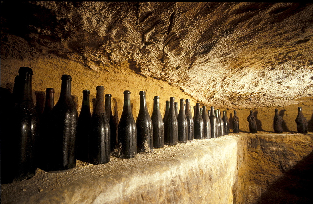 Winery Portacomaro, Piemonte, Italy