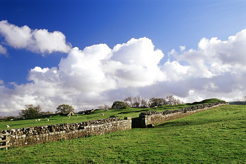 Birdoswald Fort, Roman Wall, Hadrian's Wall, UNESCO World Heritage Site, Northumbria, England, United Kingdom, Europe