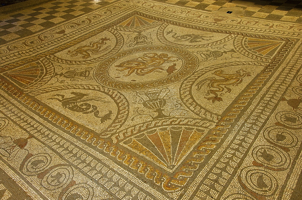 Boy on a dolphin and a flying horse, centre of mosaic floor, Fishbourne Roman Palace, near Chichester, Sussex, England, United Kingdom, Europe