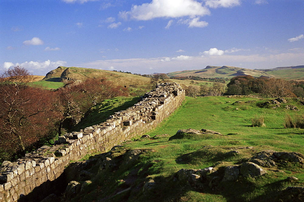 Wallcrags, Roman wall, Hadrian's Wall, UNESCO World Heritage Site, Northumberland (Northumbria), England, United Kingdom, Europe