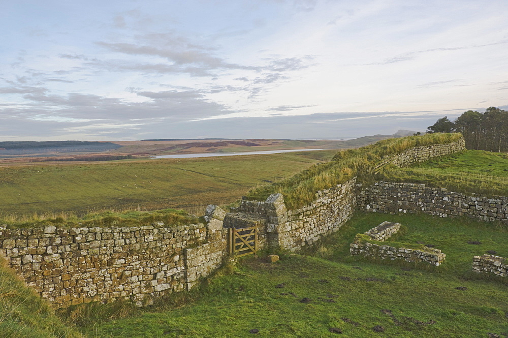 Looking north from Milecastle 37 to Broomlee Lough, Hadrians Wall, UNESCO World Heritage Site, Northumbria National Park, Northumberland, England, United Kingdom, Europe