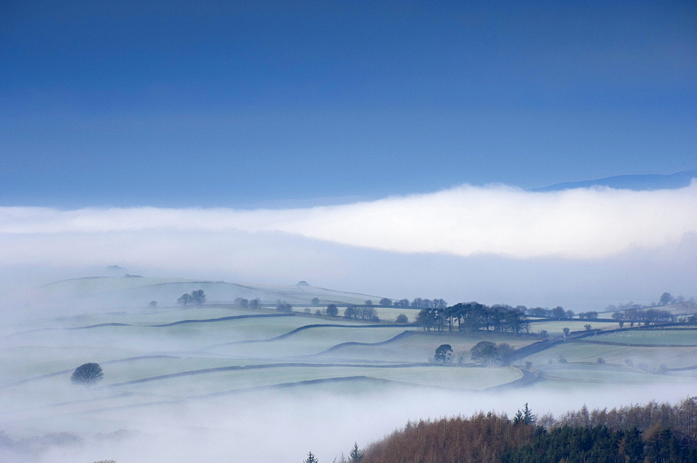 Winter mist, Eden Valley, Lower Pennines, Cumbria, England, United Kingdom, Europe