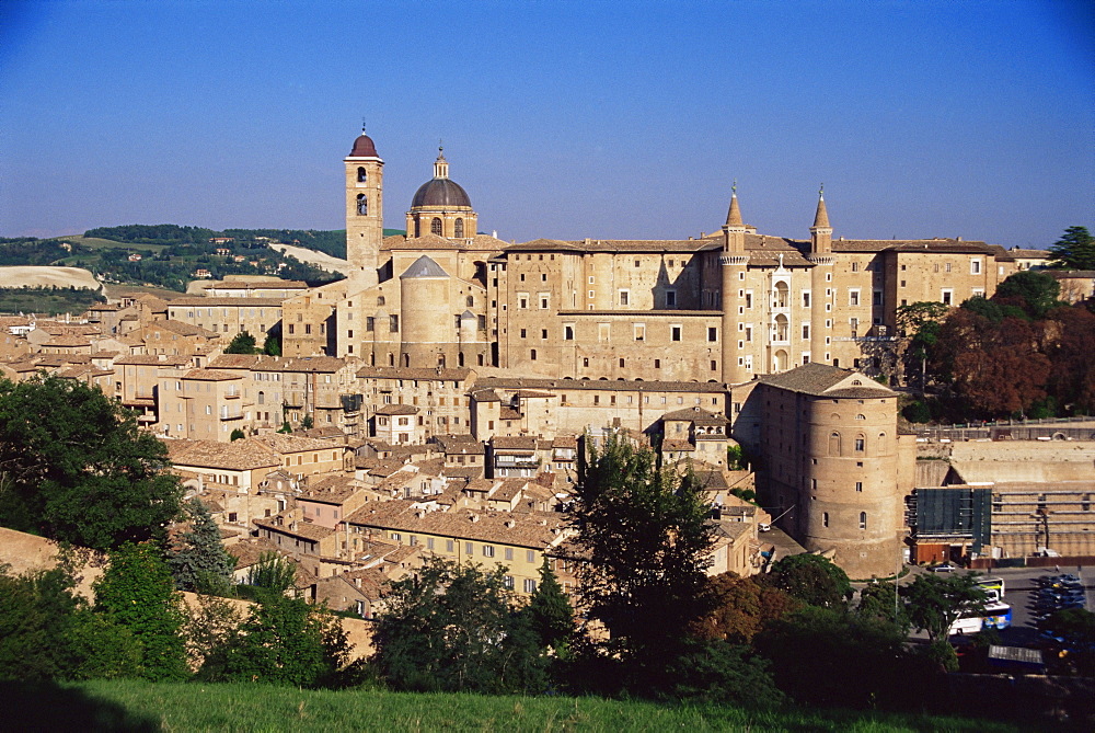 Urbino, Marche, Italy, Europe