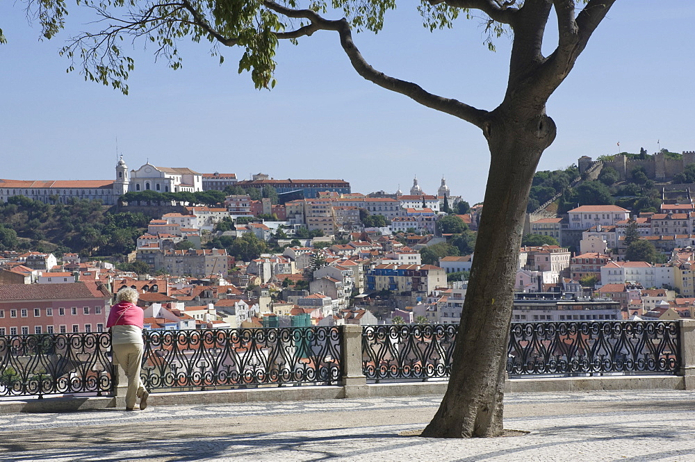 View over the rooftops from the garden at the top of the Funicular Do Gloria, Bairro Alto, Lisbon, Portugal, Europe