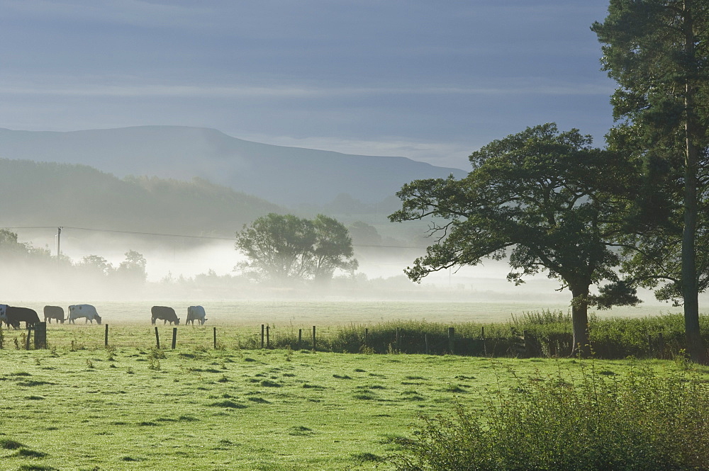 Typical rural view west of the Pennine, with Cross Fell, Eden Valley, Cumbria, England, United Kingdom, Europe