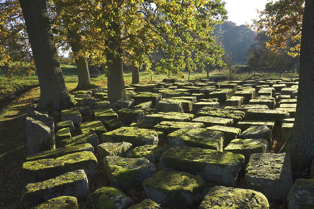 Large wrought stones recovered from the site of the Roman Bridge that spanned the River North Tyne dating from AD 13, Cilurnum (Chesters Roman Fort), Hadrian's Wall, UNESCO World Heritage Site, Chollerford, Northumbria National Park, England, United Kingdom, Europe