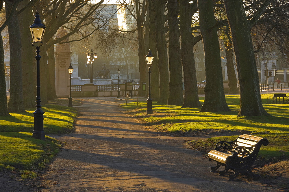 Sunrise, Green Park, London, England, United Kingdom, Europe