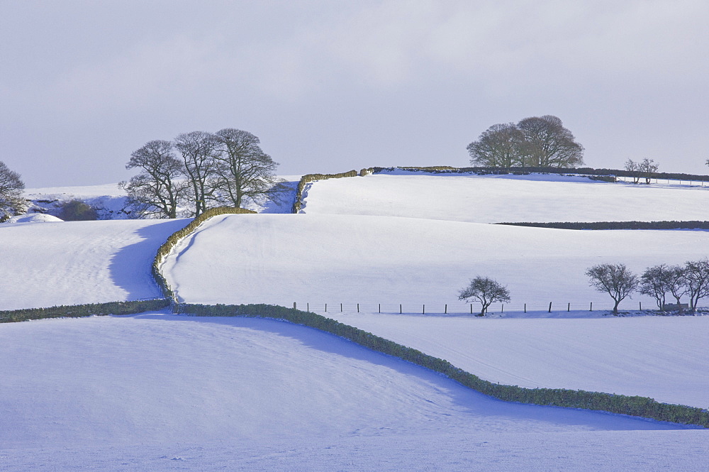 Lower Pennines with snow, Cumbria, England, United Kingdom, Europe 