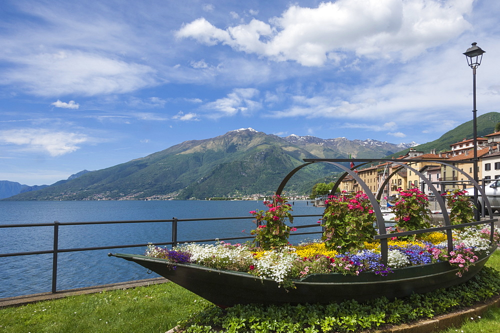 Flower boat, Domaso, Lake Como, Italian Lakes, Lombardy, Italy, Europe