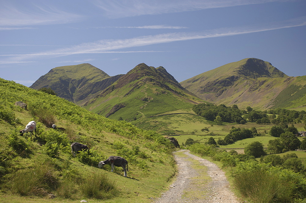 Newlands Valley, Lake District, Cumbria, England, United Kingdom, Europe