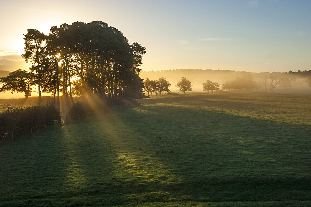 Early morning by Eden Bridge, Eden Valley, Cumbria, England, United Kingdom, Europe 