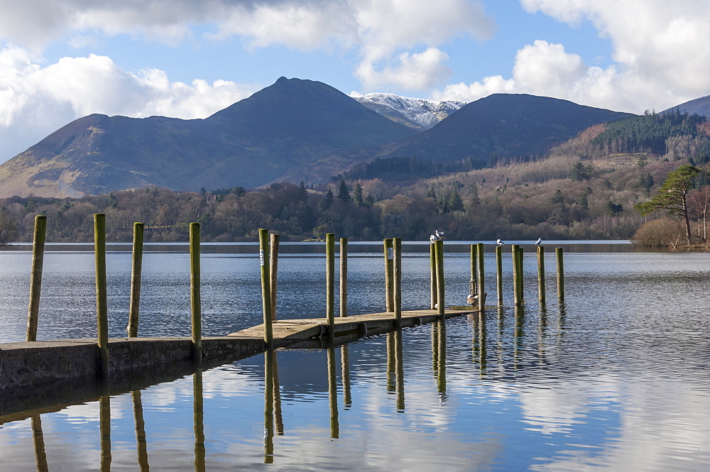 Lake Derwentwater, Barrow and Causey Pike, from the boat landings at Keswick, North Lakeland, Lake District National Park, Keswick, Cumbria, England, United Kingdom, Europe