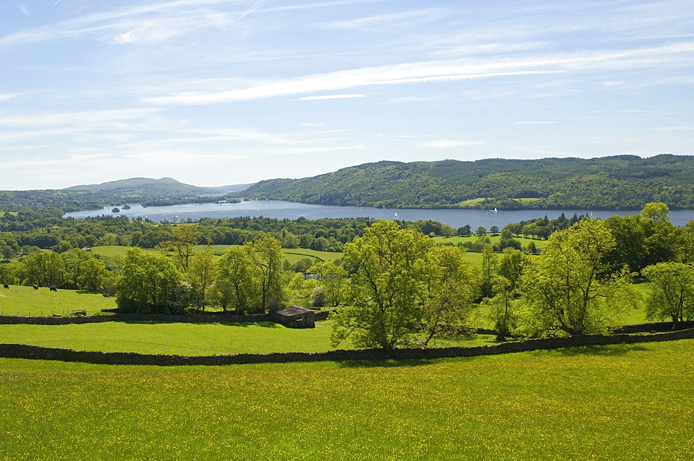 Lake Windermere, Lake District National Park, Cumbria, England, United Kingdom, Europe